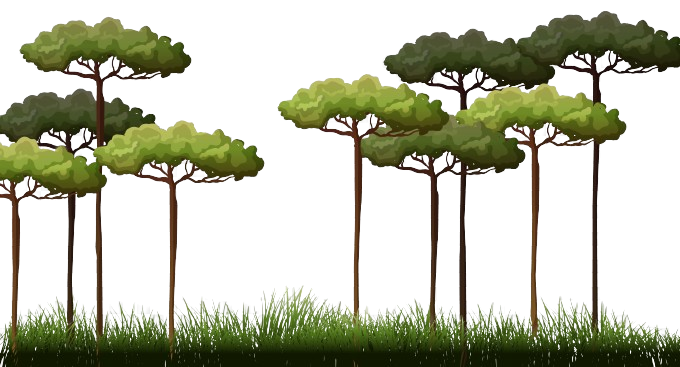 CASHBACK AKCIA – batériové programy 40V a 56V